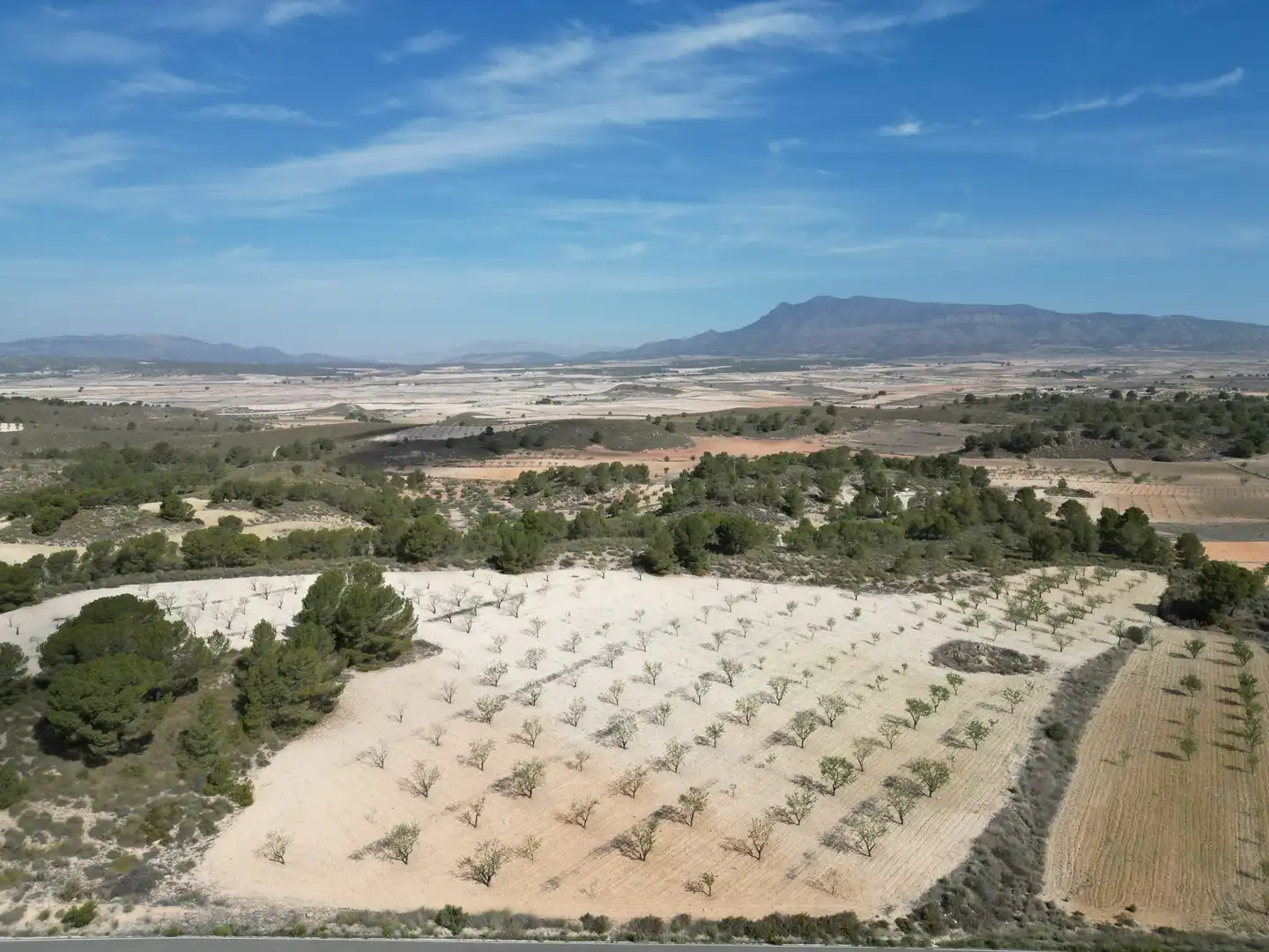 Terreny residencial en venda a Jumilla, imagen 8
