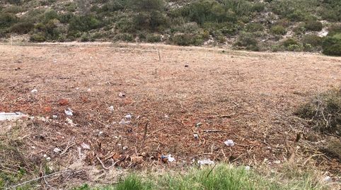4 Terrenos en venta  de 400 mt cada uno se pueden vender individual o por unidades total de metros 1600 m2, immagine 4