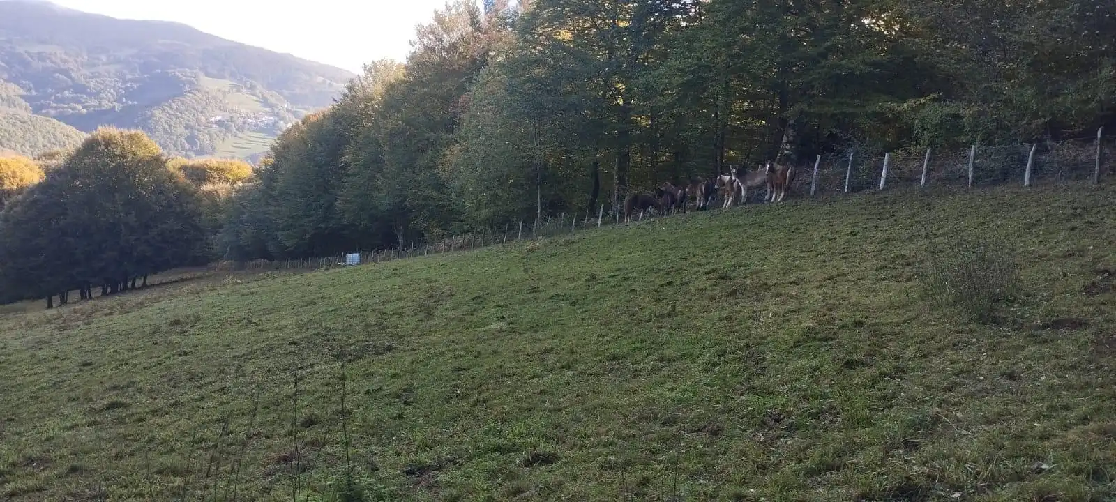 Terreno en venta en Basaburua, Navarra