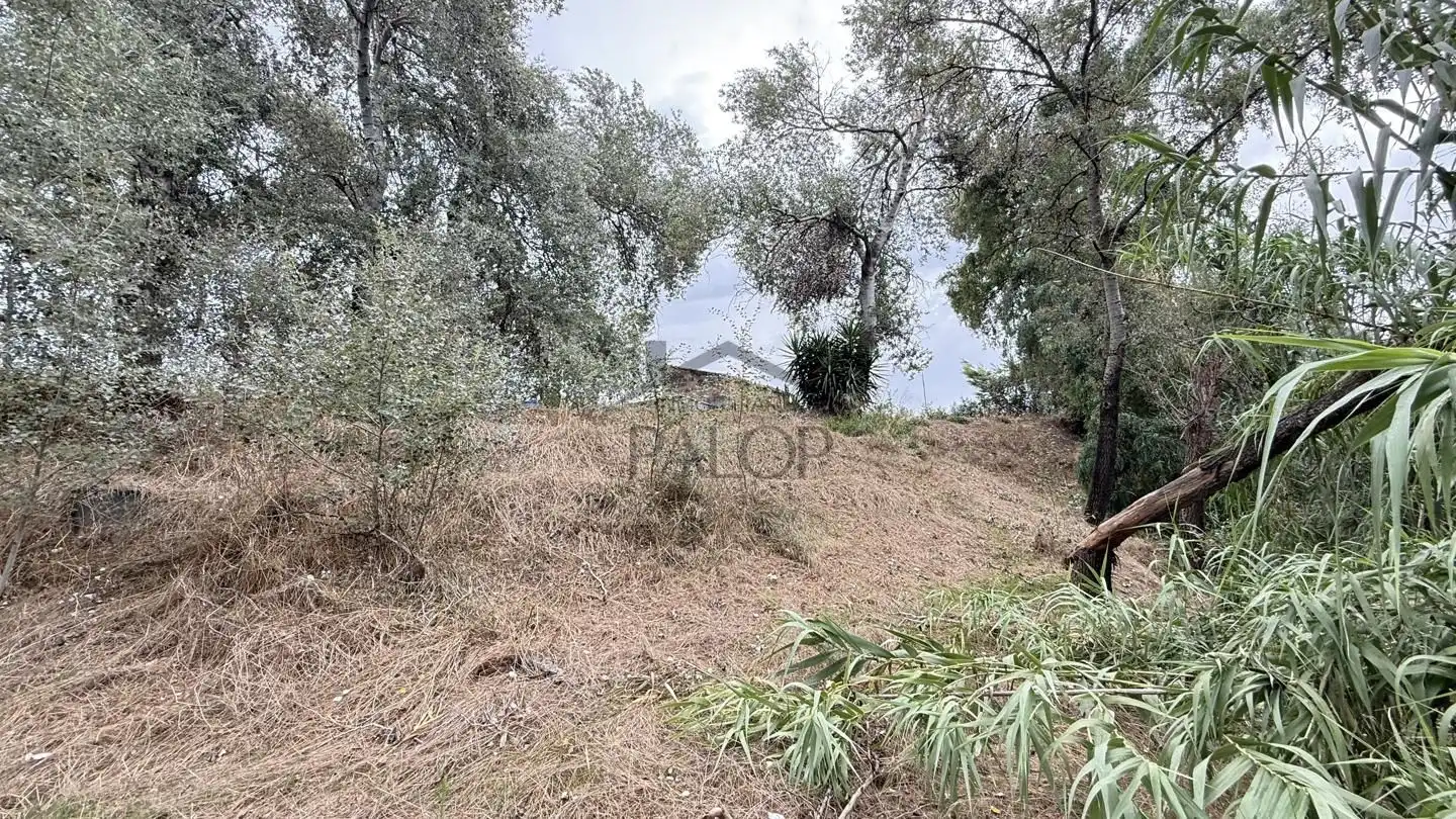 Maison rustique avec jardin à vendre à Carcaixent, imagen 10