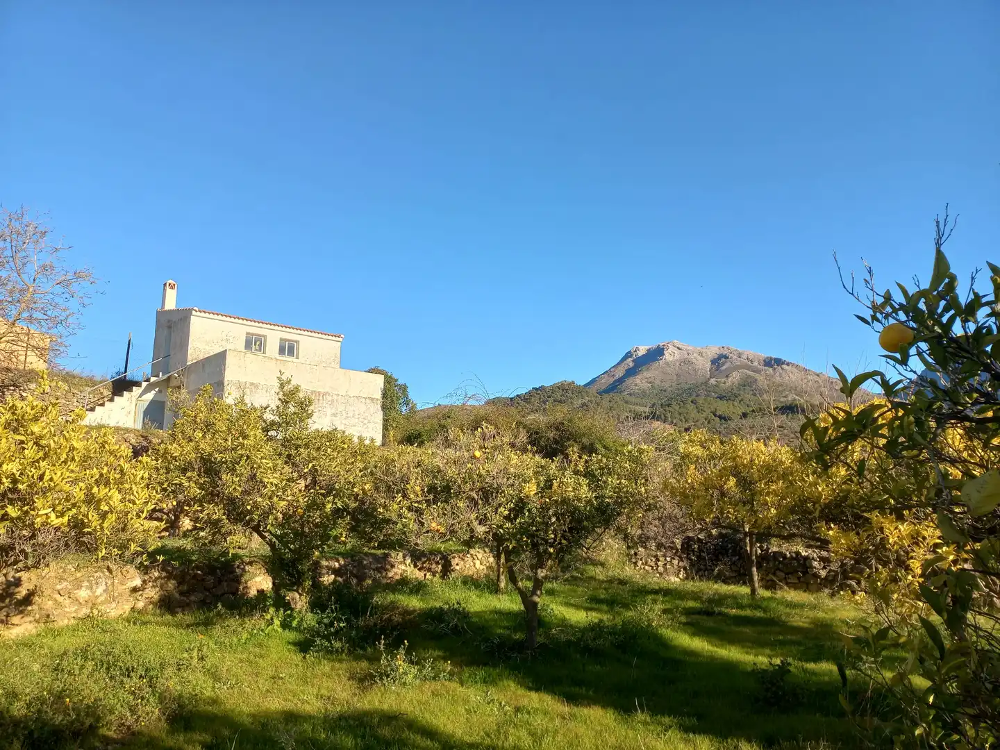 Terreno rústico en venta en Yunquera, imagen 2