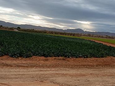 Terreno rustico in vendita a Pedanías Oeste