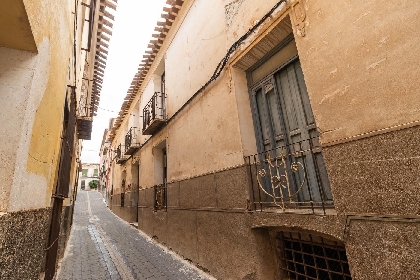 Exterior view of House or chalet for sale in Pliego