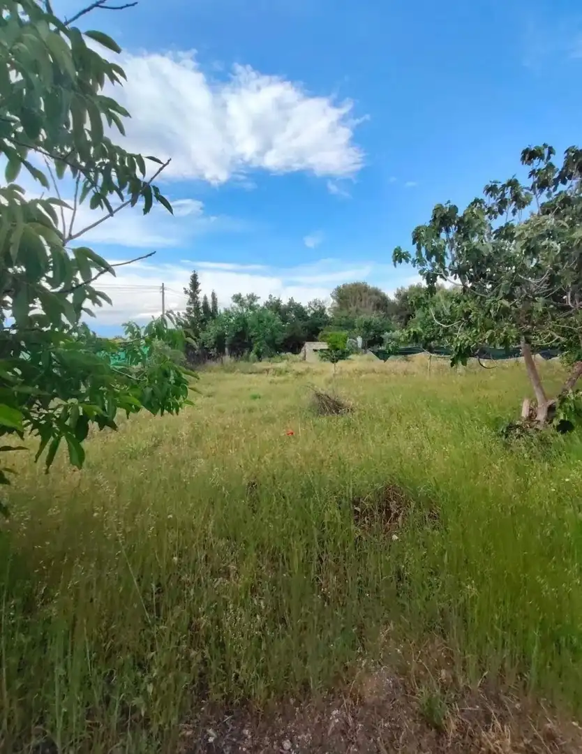 Casa rústica con piscina en venta en Pedanías - Extrarradio, imagen 4