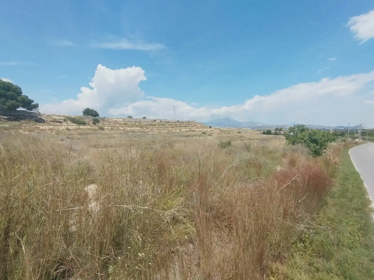 Terreno rústico en venta en Camí de la Esparraguera, imagen 8