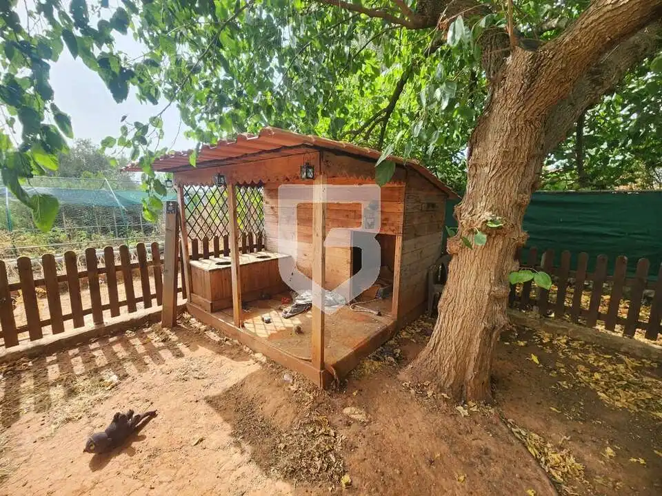 Jardí de Casa o xalet en venda en Vilafamés amb Aire condicionat, Calefacció i Jardí privat