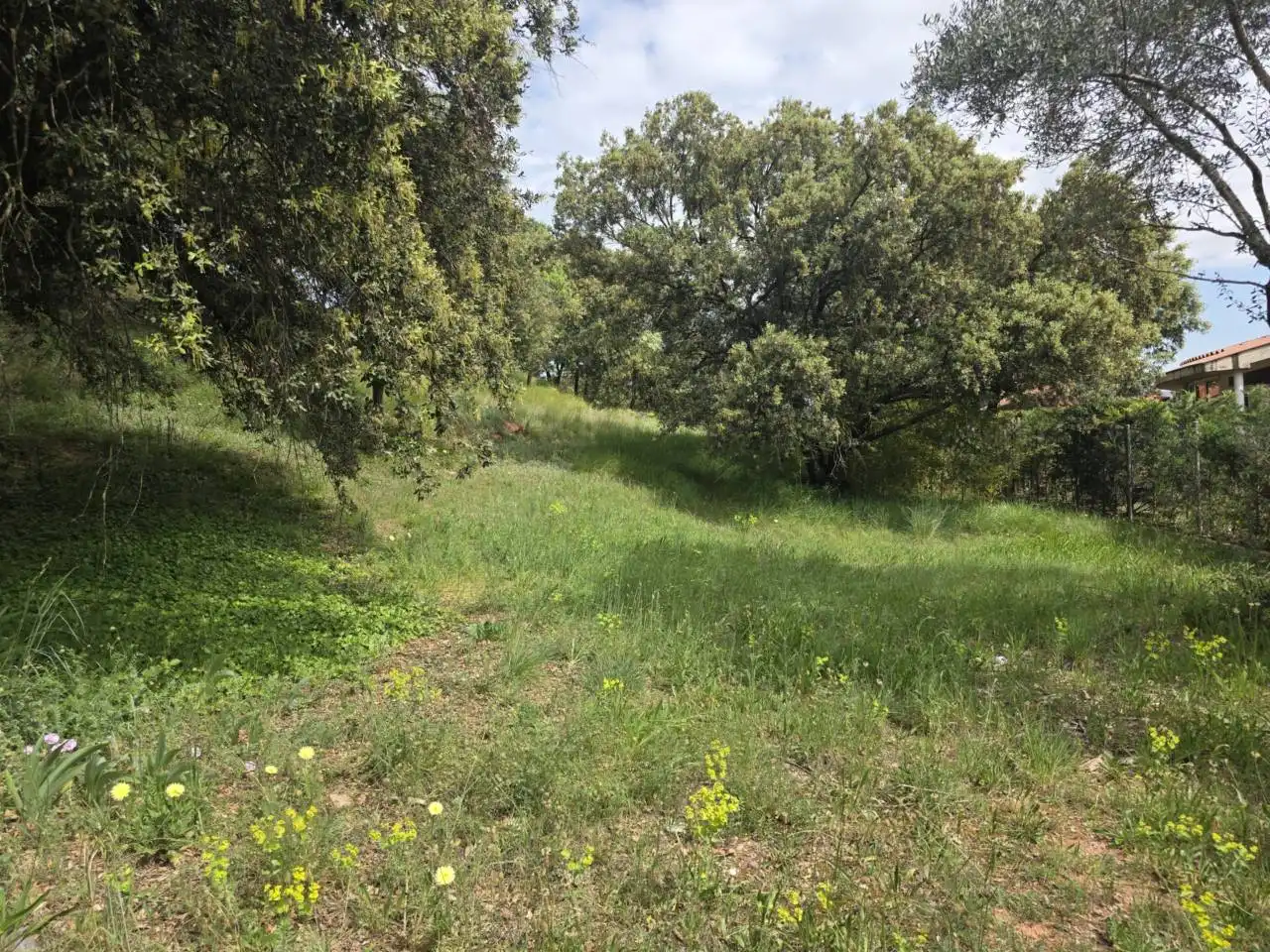 Terreno industrial en venta en Sant Fruitós de Bages