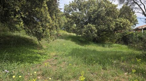 Photo 3 of Industrial land for sale in Sant Fruitós de Bages, Barcelona