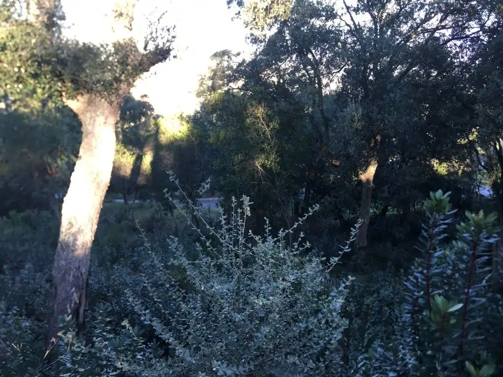 Jardí de Oficina en venda en Maçanet de la Selva