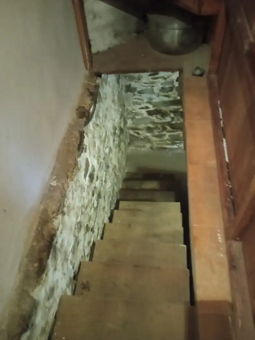 Finca rústica en venta en Tineo con Jardín privado, Parquet y Terraza