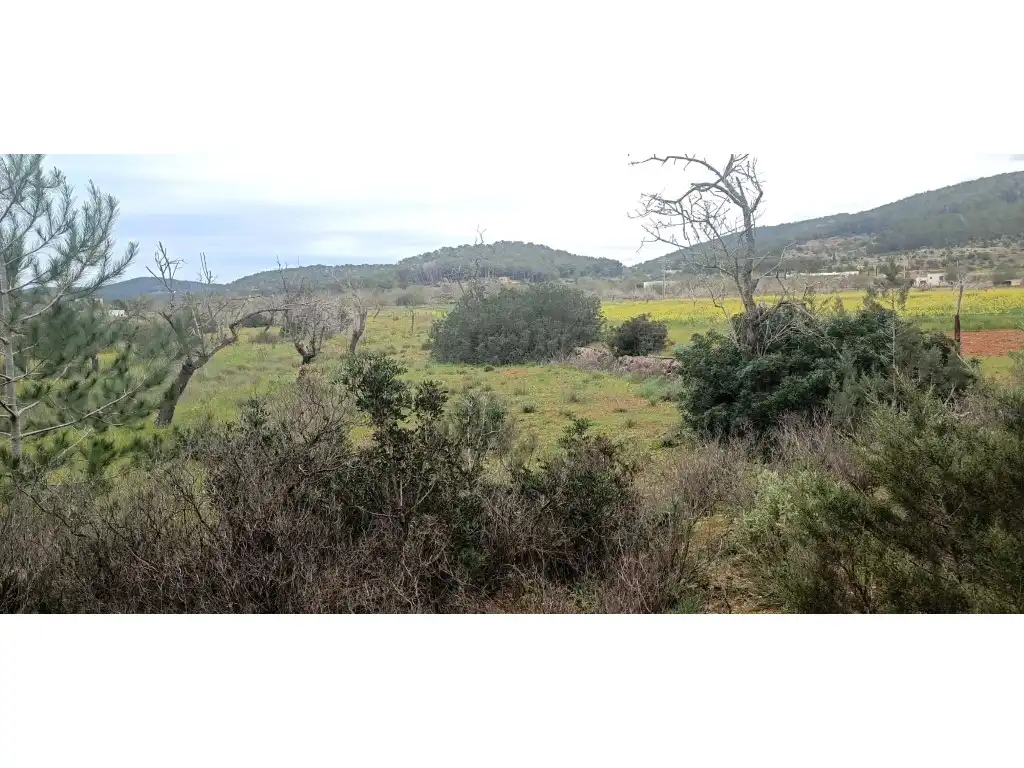 Casa rústica en venda a Carretera Sant Mateu-Sant Miquel, imagen 5