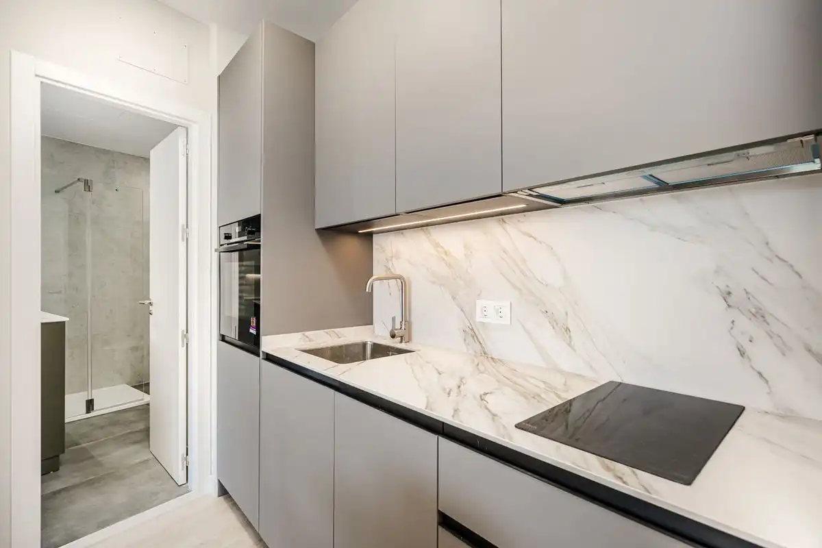 Flat with terrace for sale in Calle de Francisco Silvela, imagen 11