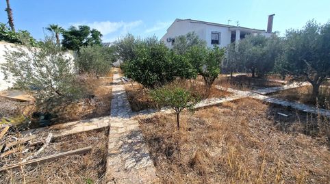 Parc.Urbana en venta en Ciudad Quesada., imatge 2