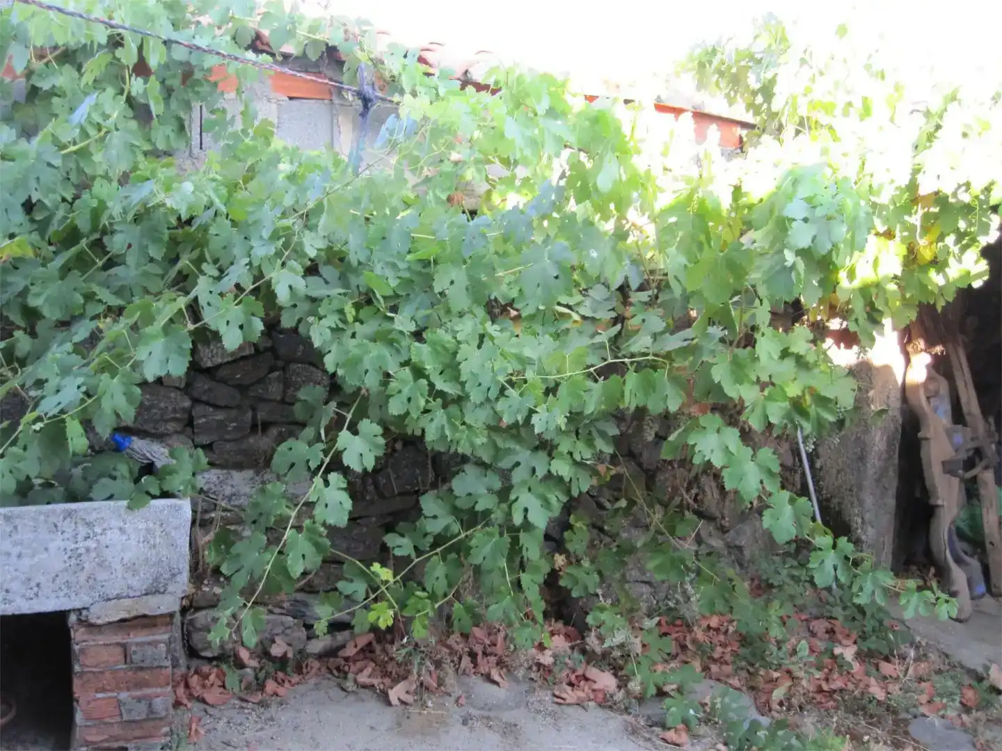 Jardí de Casa adosada en venda en Pereruela