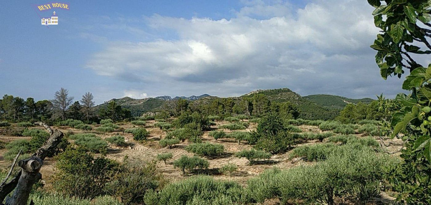 Country house for sale in Benifallet