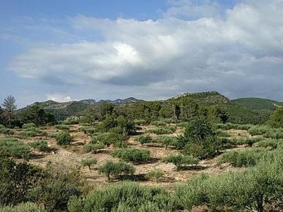 Country house for sale in Benifallet