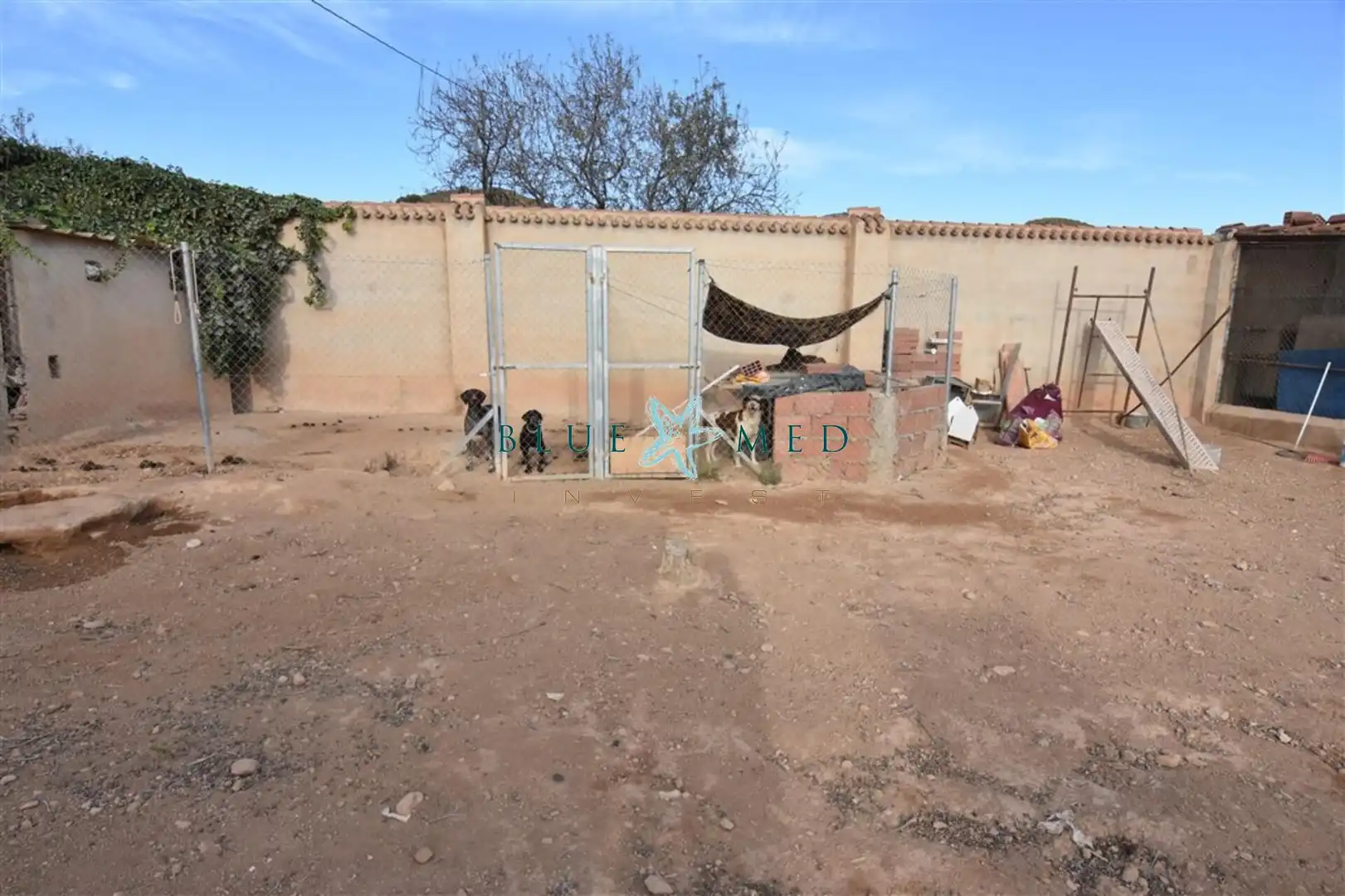 Haus mit Pool zum Verkauf in La Pinilla - Las Palas, imagen 29