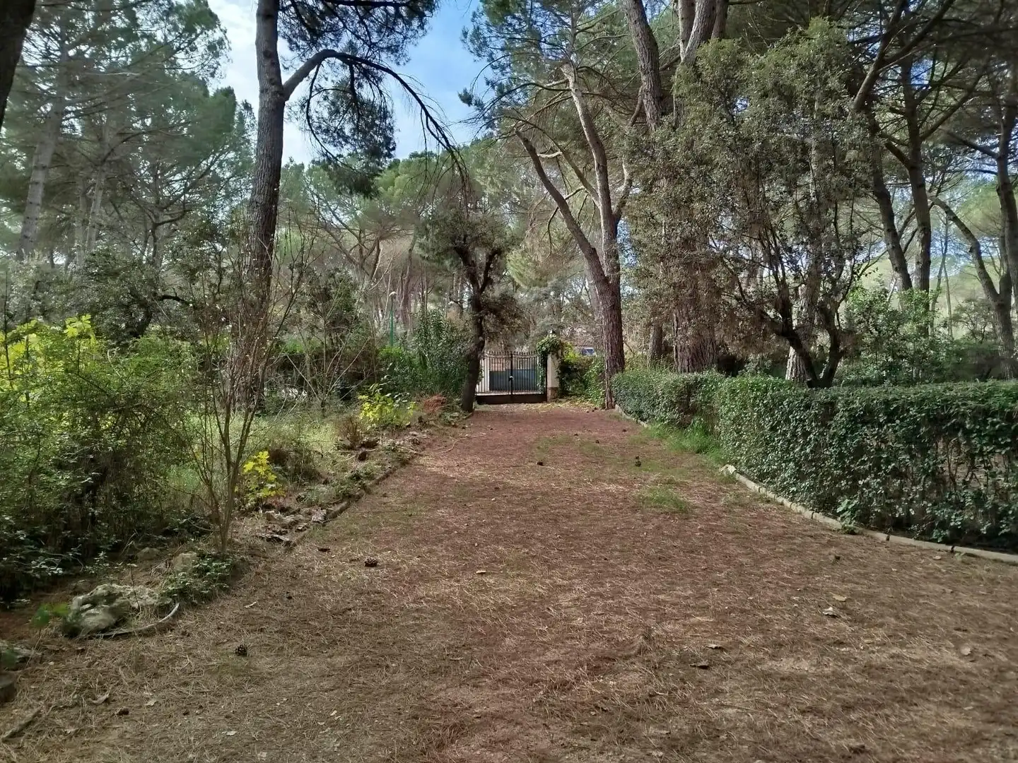 Chalet con piscina en venta en Pedanías - Extrarradio, imagen 48