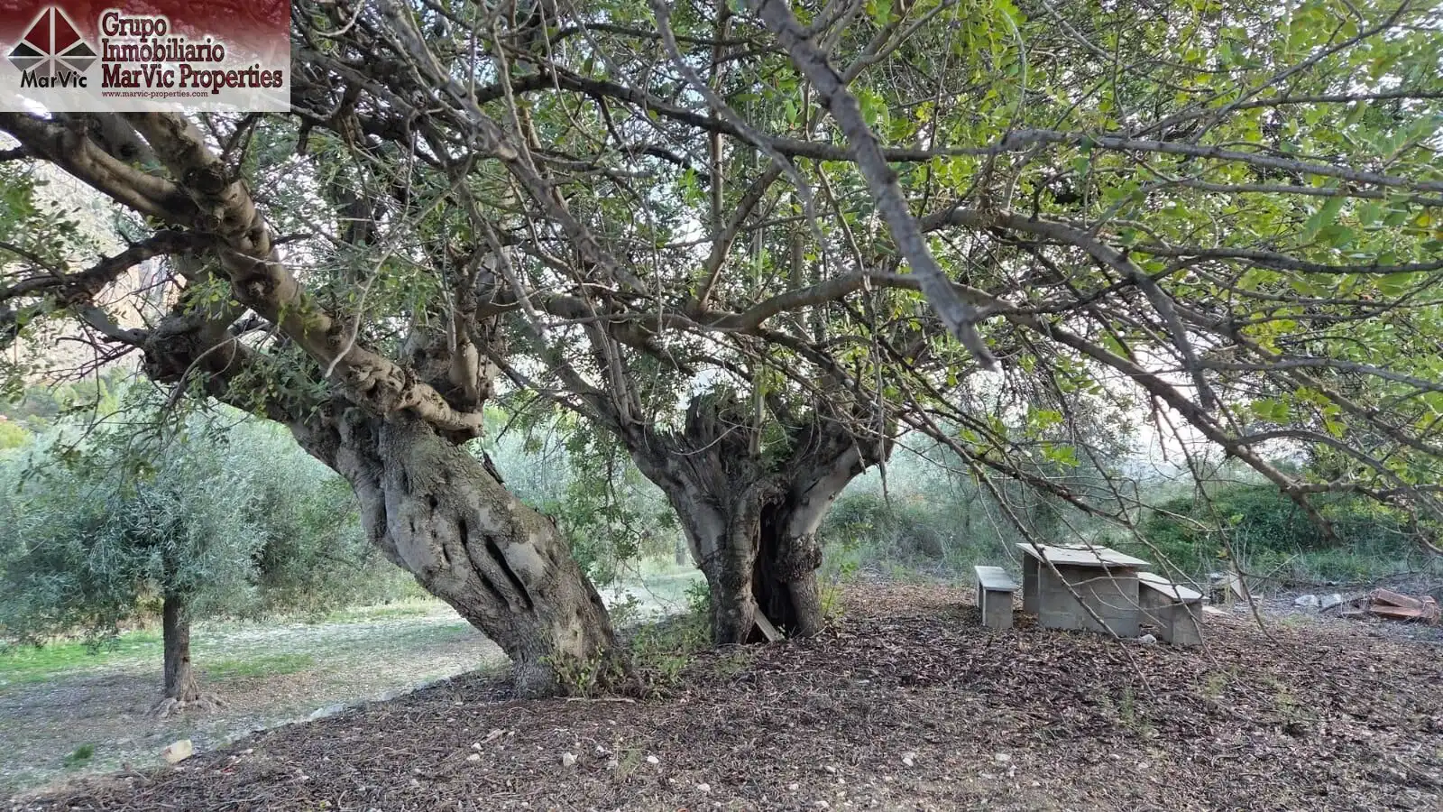Garten von Residential zum Verkauf in Benifato