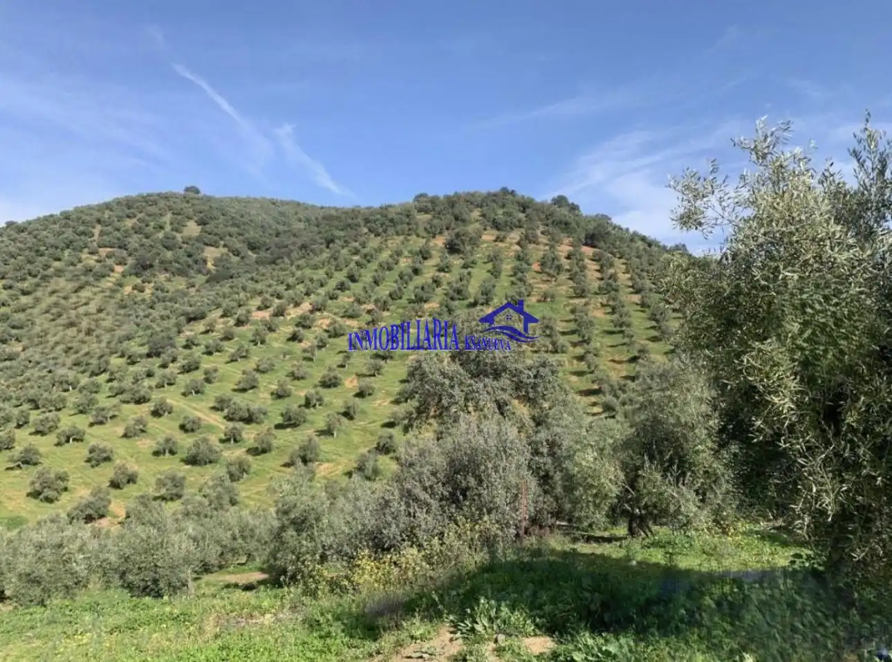 Finca rústica en venda en Adamuz