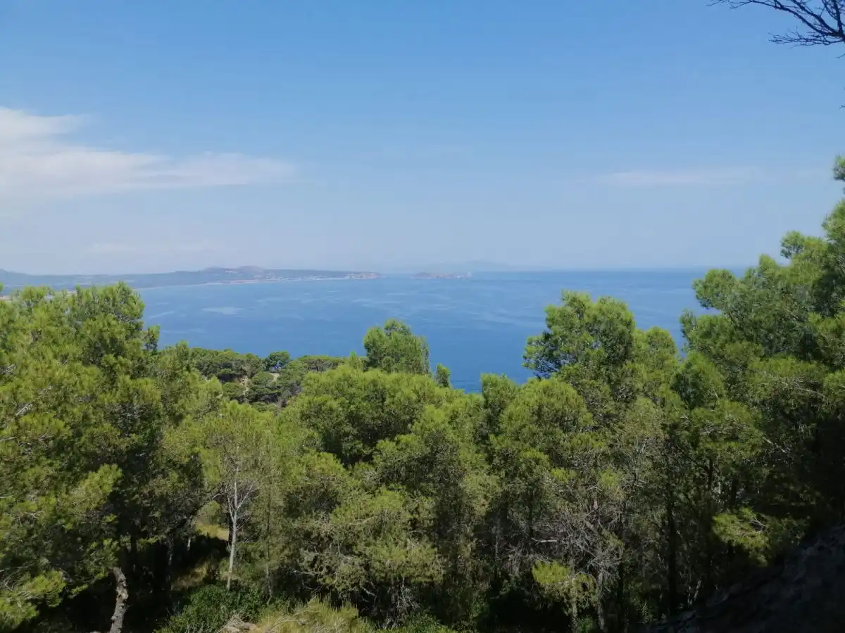 Grundstücke und Bauplätze zum Verkauf in Puig Rodo, imagen 4