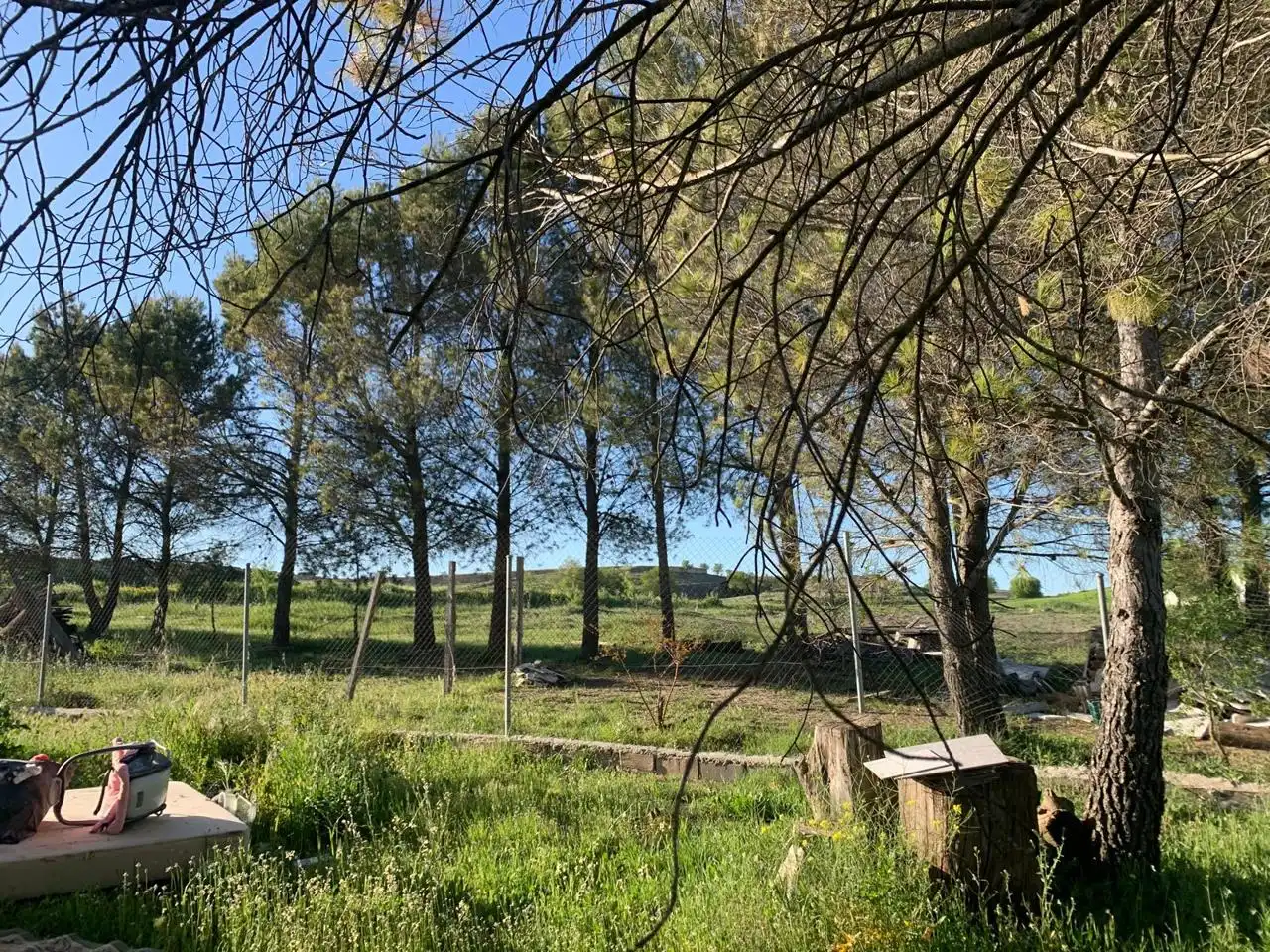 Terreni e lotti in vendita a Carrascosa, imagen 9