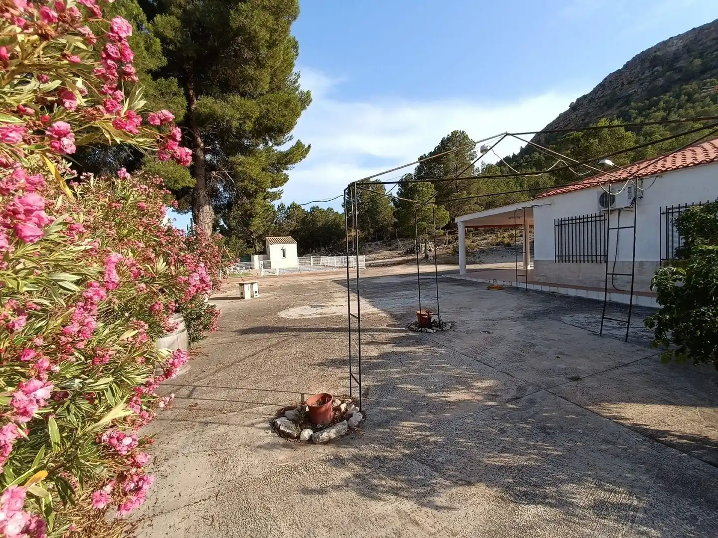 Vista exterior de Casa o xalet en venda en Yecla amb Aire condicionat, Jardí privat i Terrassa