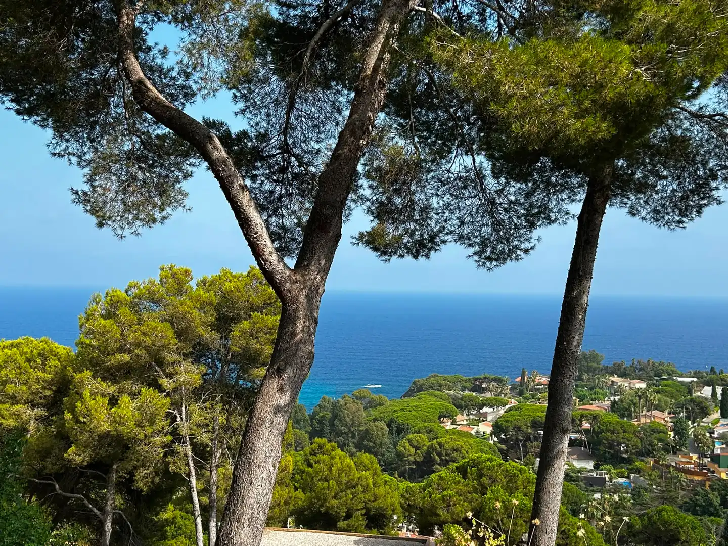 Vista exterior de Residencial en venda en Blanes