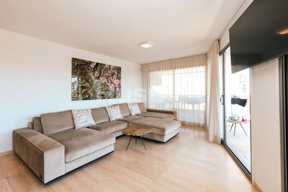 Appartamento con terrazza in vendita a Carrer Gregal, imagen 3