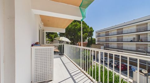Photo 2 of Flat for rent in Palmanova, Calvià