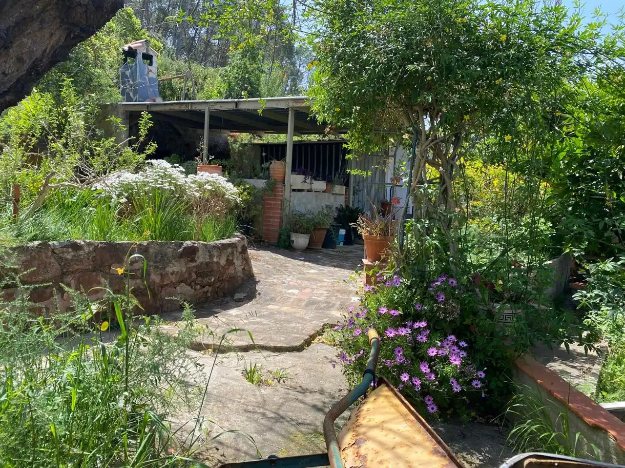 Terrenos y solares en venta en Carrer Vicenç Bou 14, imagen 13