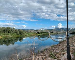 Vista exterior de Casa o xalet en venda en Móra d'Ebre amb Terrassa i Balcó