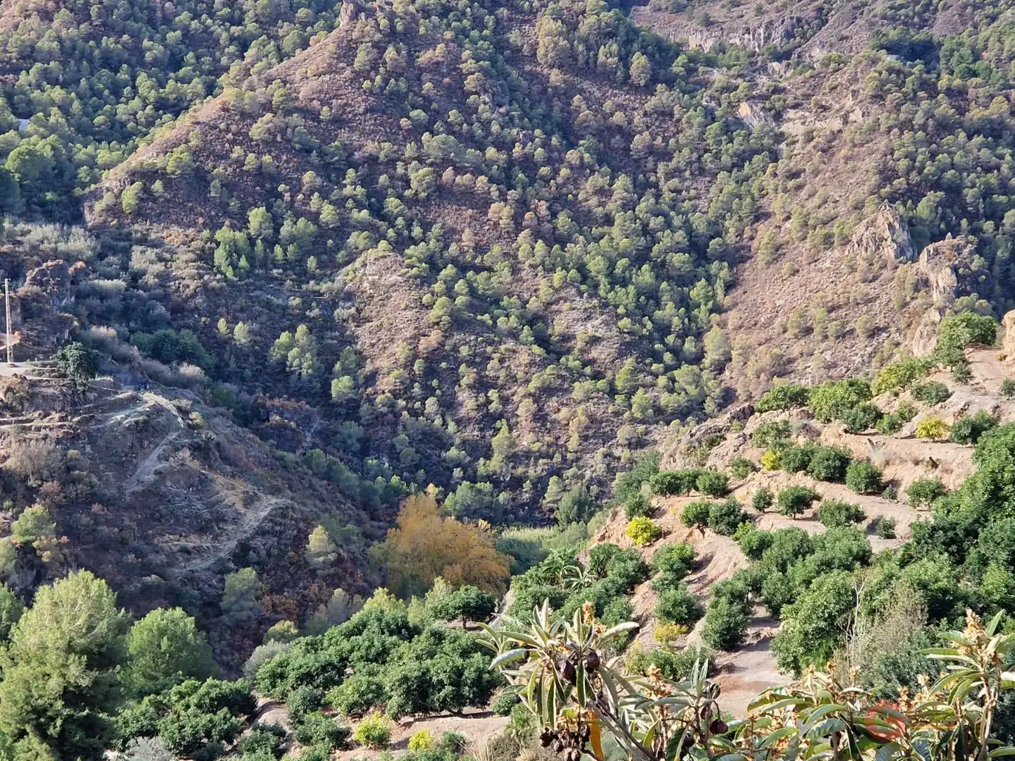 Terreni e lotti in vendita a Los Guájares, imagen 2