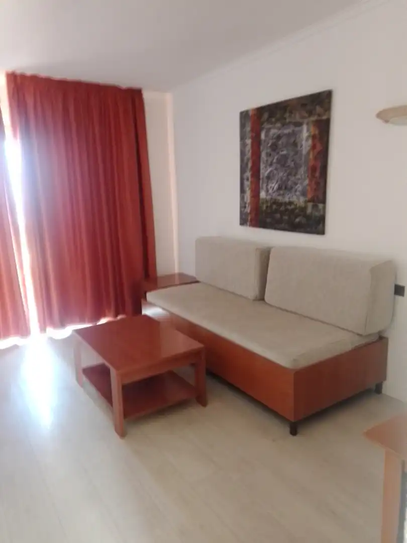Sala de estar de Apartamento de alquiler en Adeje con Amueblado, Lavadora y TV
