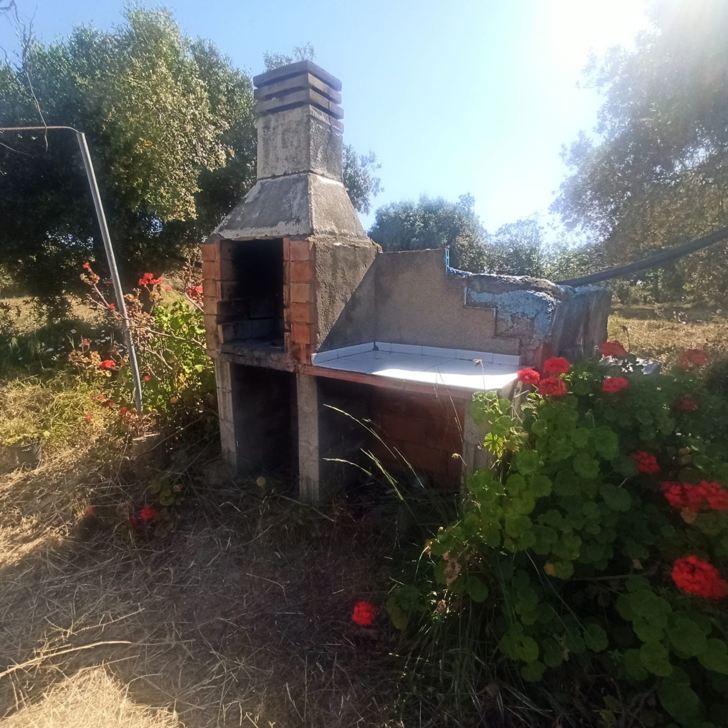 Garden of Country house for sale in Reus