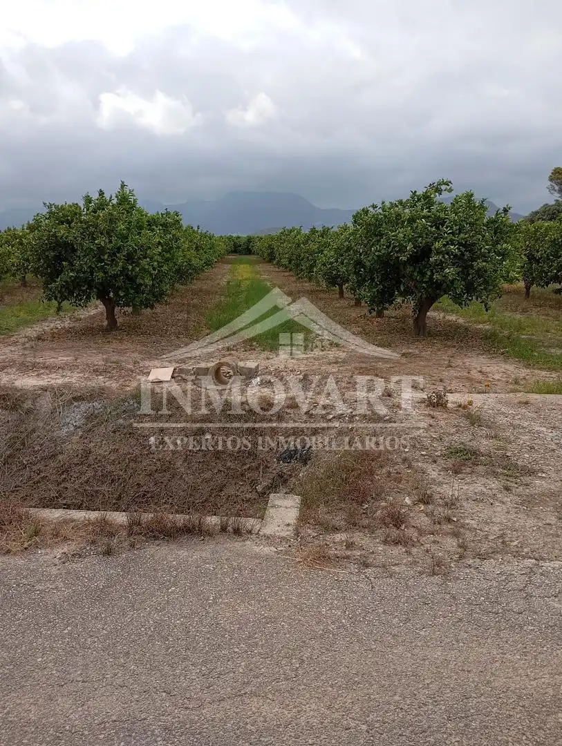 Terreny rústic en venda a Polinyà de Xúquer, imagen 2