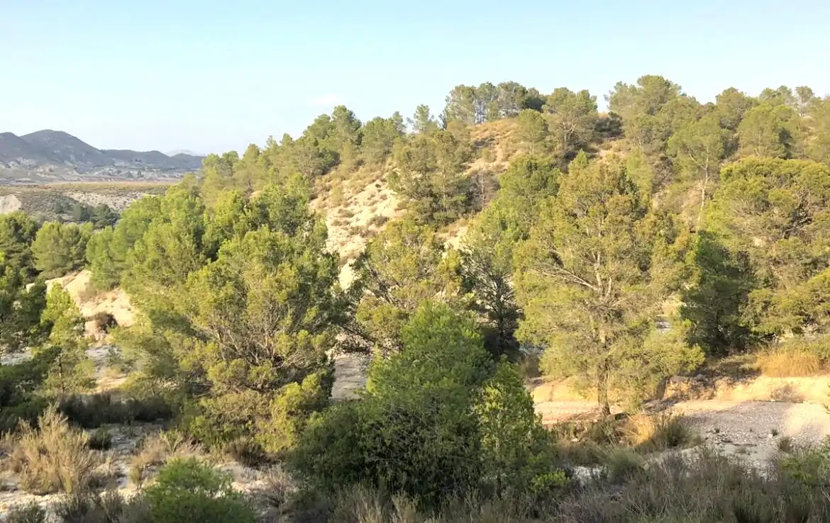 Residential for sale in 79. Parcela, Puntarrón