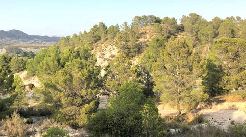 Foto 4 de Residencial en venda a 79. Parcela, Puntarrón, Lorca