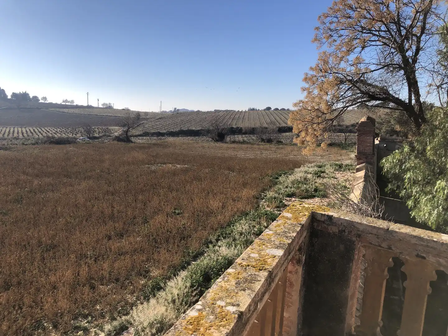 Finca rústica en venta en Castellví de la Marca