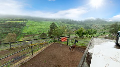 Foto 5 de Casa o chalet en venta en Calle Lomo Pilón, 3, San José del Álamo - El Hornillo, Teror