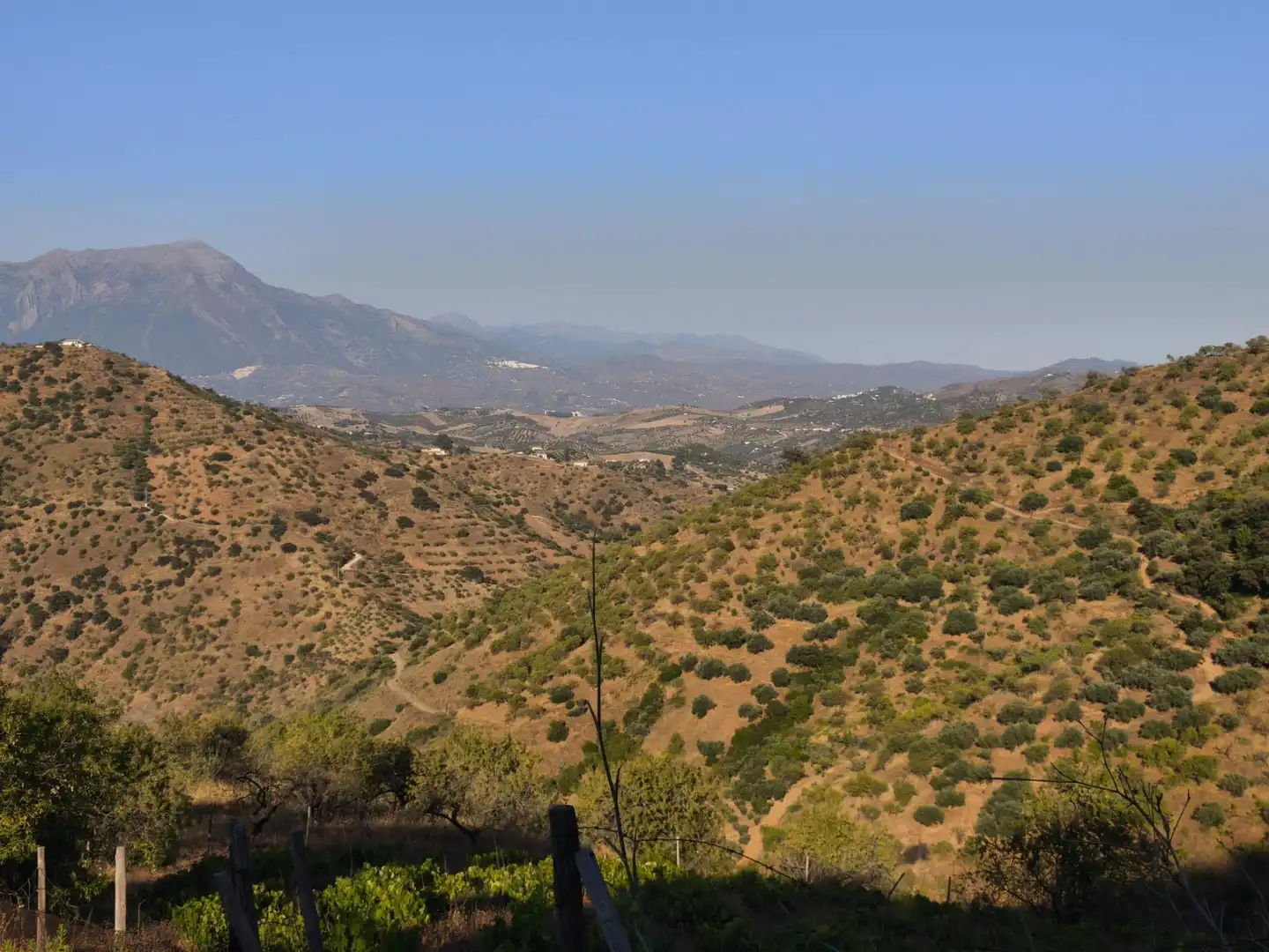 Terrenys i solars en venda a Colmenar, imagen 2