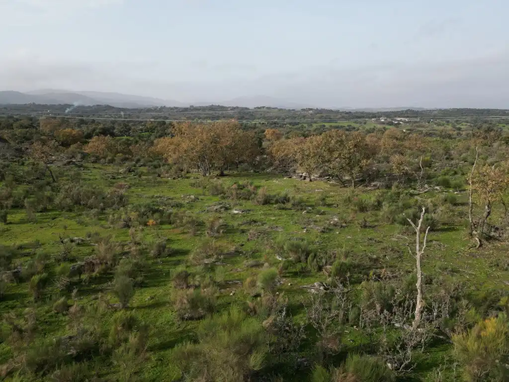 Finca rústica en venta en Valencia de Alcántara
