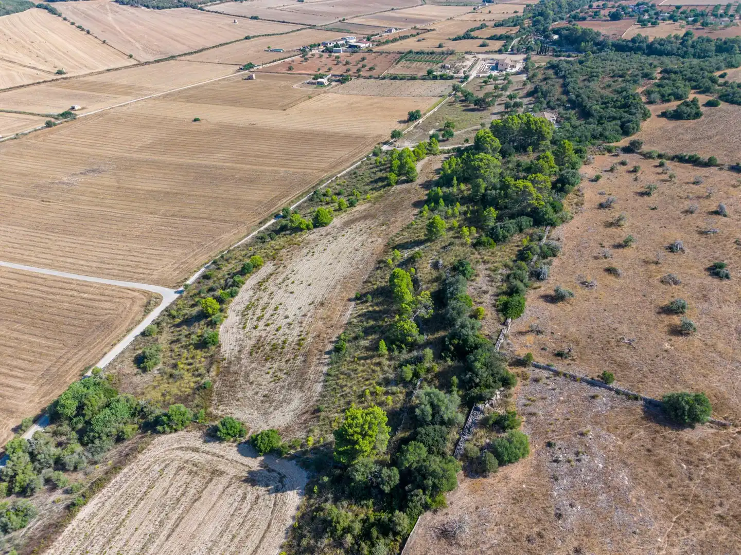 Residencial en venda en Petra