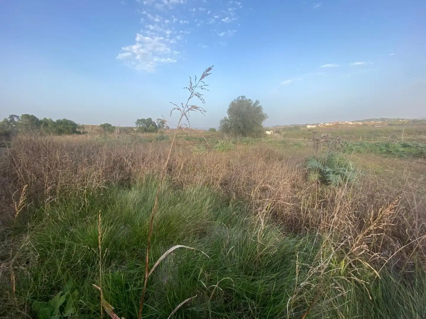 Residencial en venda en Arjona