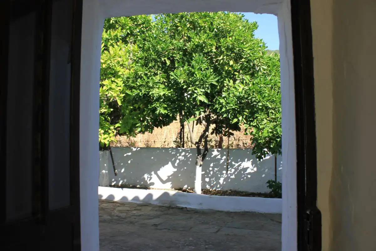 Casa o chalet en venta en de Cádiz, Algodonales