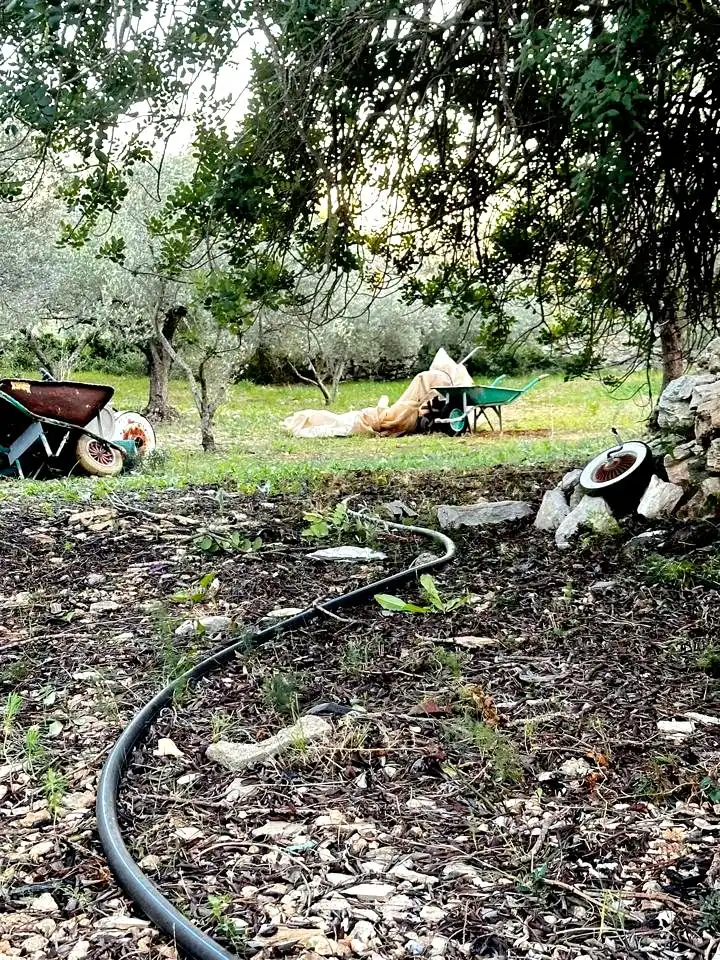Jardín de Finca rústica en venta en Amposta con Piscina