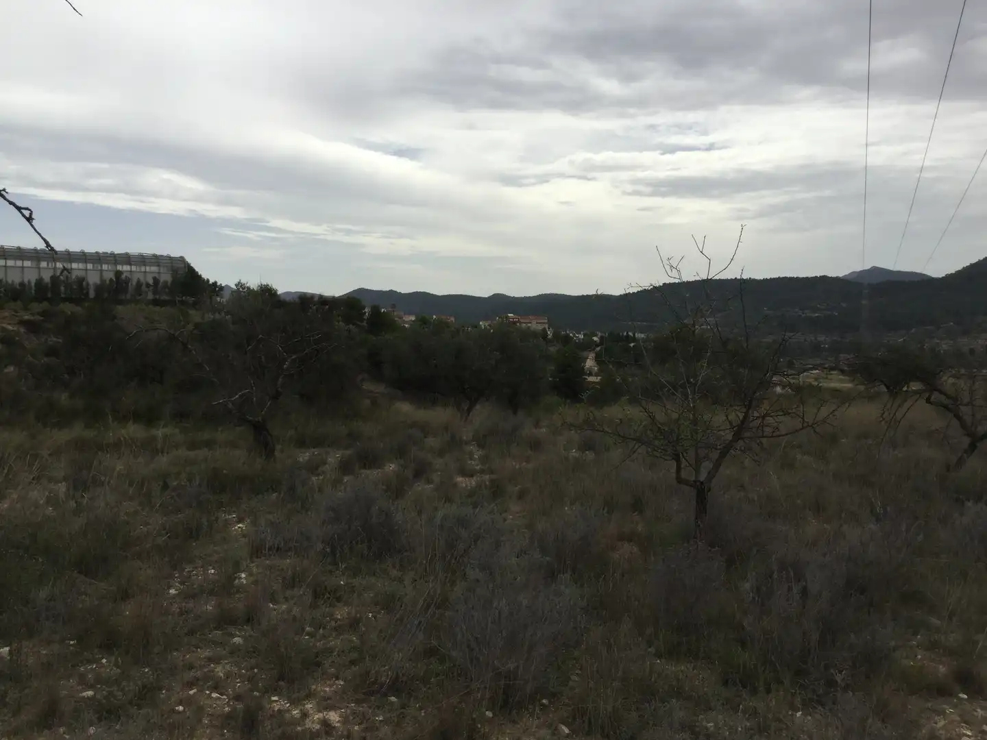 Terreny rústic en venda a Partida el Llosar 70, imagen 6