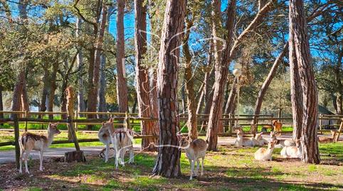Foto 5 de Casa o xalet en venda a Caldes de Malavella, Girona
