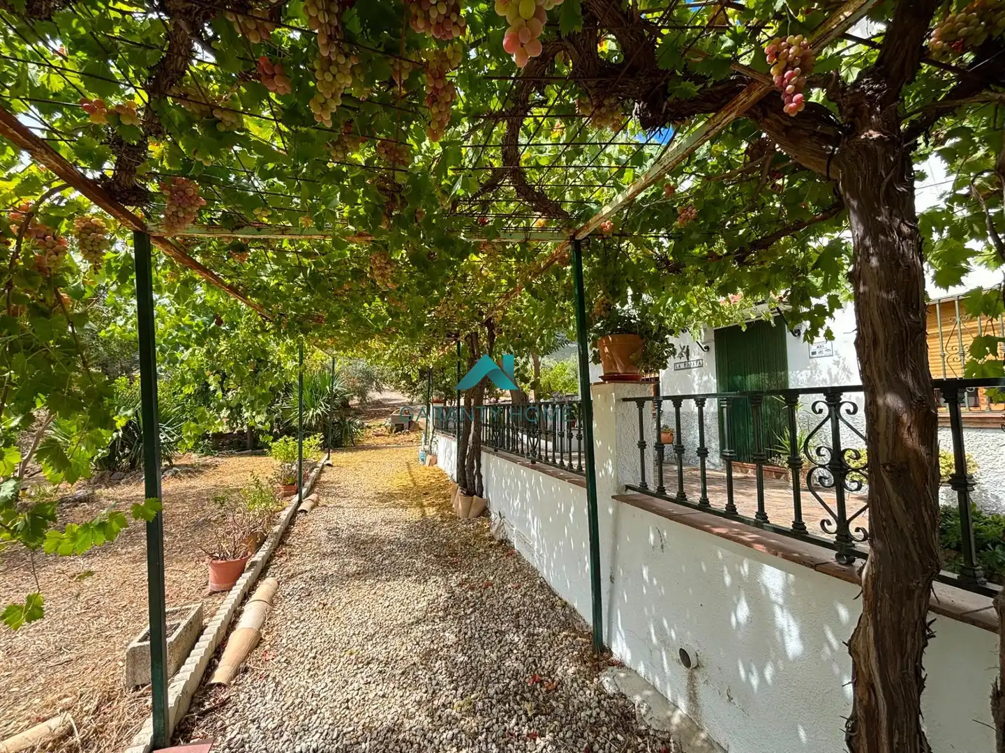 Garden of Houses for sale in Martos