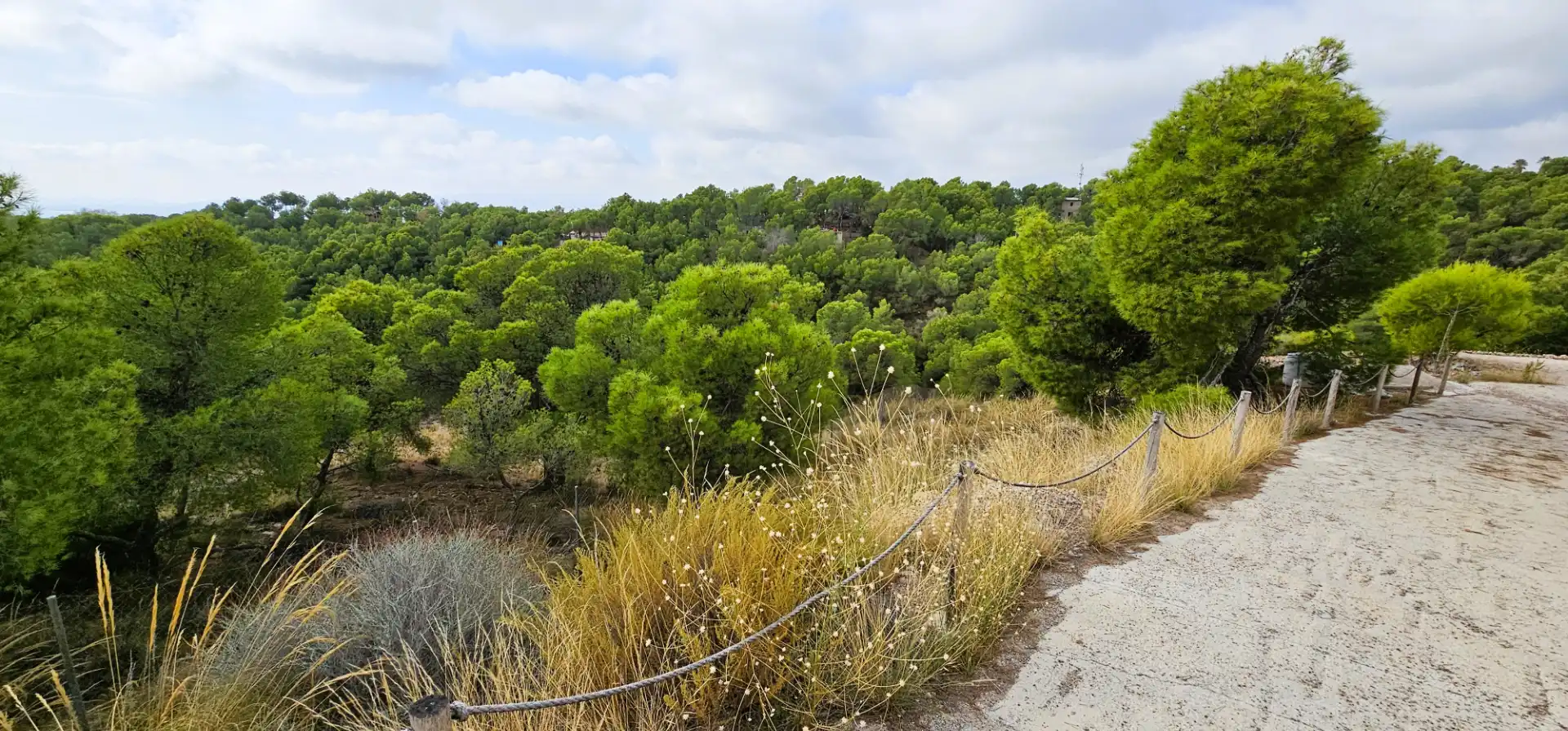 Vista exterior de Casa o chalet en venta en Totana con Calefacción, Jardín privado y Terraza